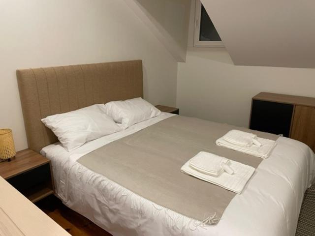 Homestay Salero *